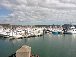 Marina de Los Sueños herradura