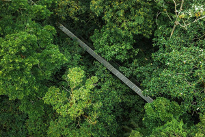 Monteverde Cloud Forest: Walking Tour, 400+ Bird Species