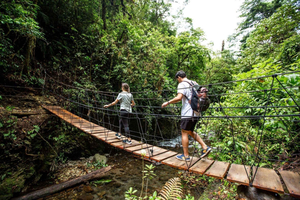 Monteverde: El Tigre Waterfalls Hike with Lunch