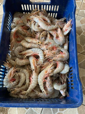 Pescaderia Marilyn