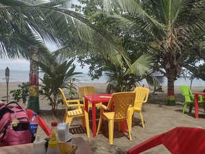 Reggae Bar