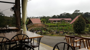 Restaurante El Sapito