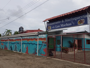 Restaurante & Marisquería Las Machas