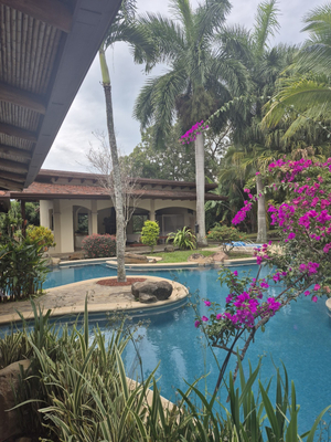 RevelaRetreats