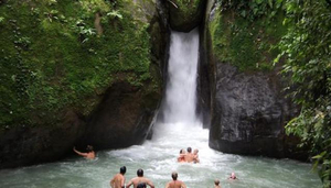 Tilapias La Cascada