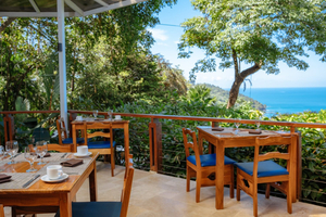 Tule Cafe Restaurante