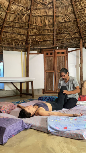 Vida Sana Wellness Center