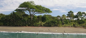 Spiagge - Regione Caraibica Settentrionale