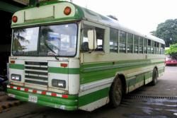Bus Info and Schedule