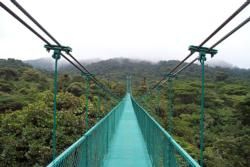 Cloud Forest Region