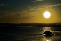 Nicoya Peninsula