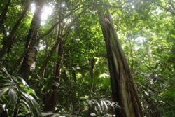 Quando Venire in Costa Rica