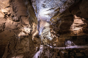 Ballyvaughan: Aillwee Burren Experience Entry Ticket