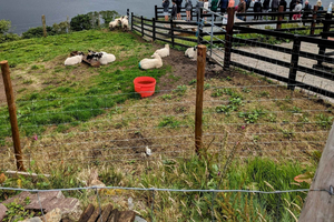 Dublin: Connemara, Galway, and Cliffs of Moher 3-Day Tour