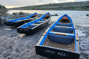 From Galway/Doolin Full Day Aran Island Cultural Experience