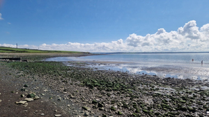 Aylevarroo Beach