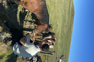 Unforgettable Summer Hikes in County Clare - Trails for Every Adventurer