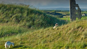 Lahinch Golf Course