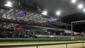 Limerick Greyhound Stadium