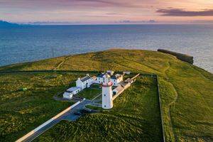 County Clare's Winter Wildlife - Observing Nature's Wonders