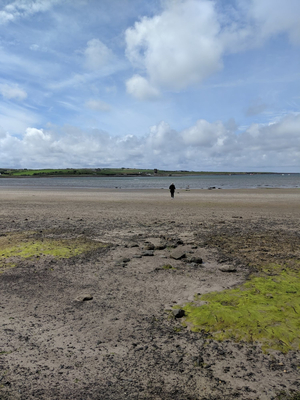 Rhynagonnaught Bay Beach
