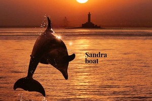 3 timers delfinsafari ved solnedgang med ubegrenset drikke + middag