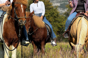 Čilipi: Ridetur