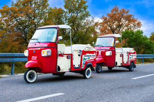 Crikvenica Riviera: Panoramisk retrotur med tuk-tuk