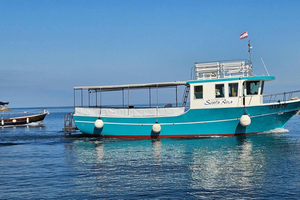 Delfinsafari med båt fra Marina Funtana