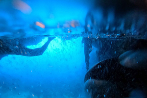Dubrovnik/Cavtat: Blue Cave & Elaphiti with Food/Drinks