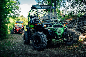 Fažana: Opastettu buggy-retki Istrian sydämessä