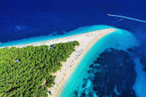 From Split: Golden Horn Beach, Vidova Gora & Olive Oil