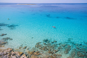 From Zadar: Dugi Otok Half-Day Kayak Adventure