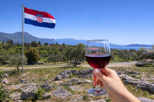 Kastela: Wine & Olive Tasting Tour w/Delicacies & Live Music