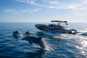 Poreč: Delfiinisafari ja venekierros auringonlaskussa