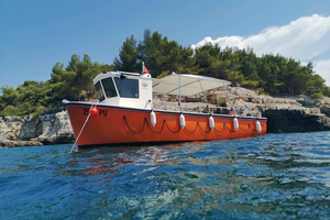 Pula Adventure: Snorkling med båt og klippehopping