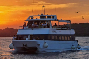 Pula: Delfiiniristeily auringonlaskun aikaan Brijuniin illallisella ja juomilla.