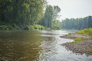 Drava-joki, Euroopan Amazon: päiväkierros lounaalla