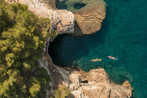 Rovigno: kayak a Paradise Island e tartarughe selvatiche + bevande