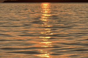 Rovinj: tour privado en barco al atardecer con avistaje de delfines