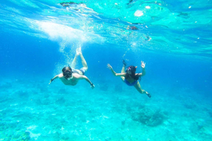 Split: Blue Lagoon, Hvar and 6 Islands Small Group Boat Tour
