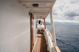 Split: Mother's Day Cruise with Brunch and Workshop