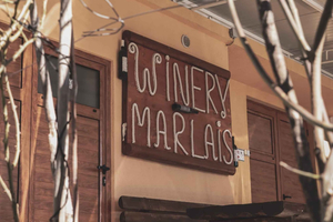 Ston : visite du domaine viticole familial Marlais et dégustation de vin