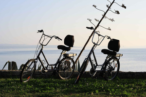 Rundtur med handbyggd e-cykel i Split och på Marjan