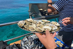 Vela Luka: Proizd Island Boat Tour with Lunch & Wine