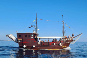 Vrsar: Lim Fjord Boat Tour with Swimming near Pirate's Cave