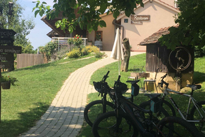 Vuglec Breg: Neanderthal trails and wine tasting by e-bike