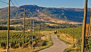 The International Wine Tourism Conference