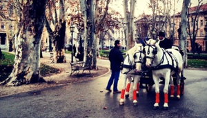 'Zima' in Zagreb