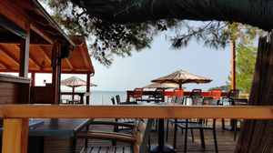 Barracuda Beach Bar